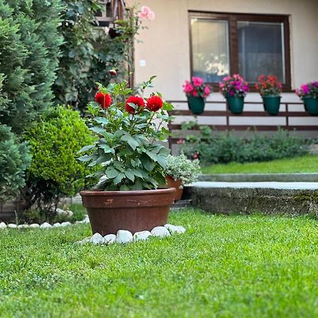 City Centar Apartman Saraybosna Dış mekan fotoğraf