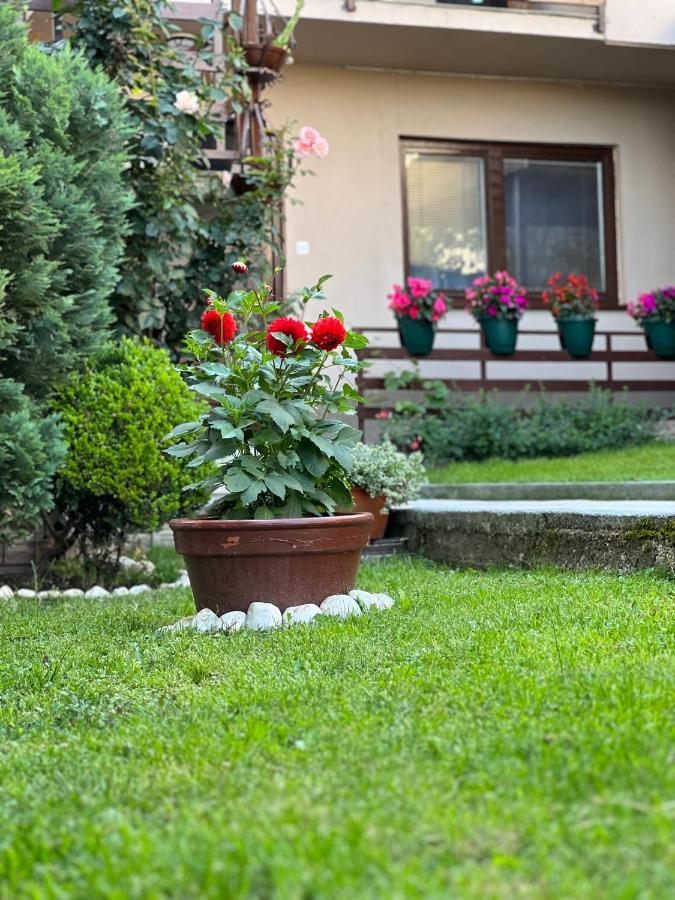 City Centar Apartman Saraybosna Dış mekan fotoğraf
